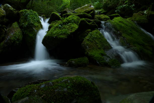 istock Green moss on rocks and Small waterfall 985531720