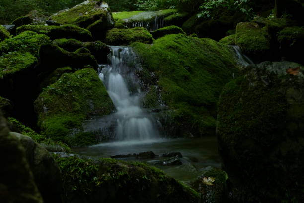 istock Green moss on rocks and Small waterfall 985531726