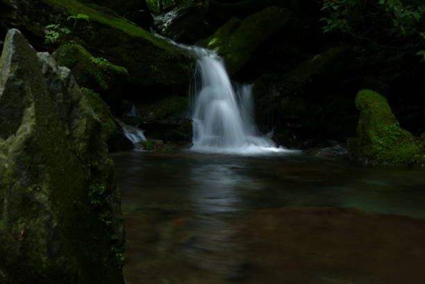 istock Green moss on rocks and Small waterfall 985531754