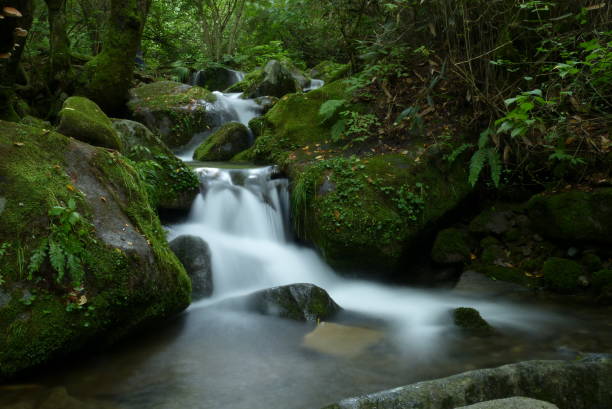 istock Green moss on rocks and Small waterfall 985531820