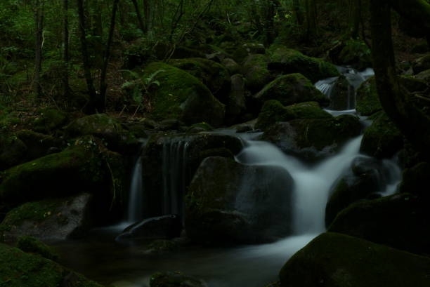 istock Green moss on rocks and Small waterfall 985531872