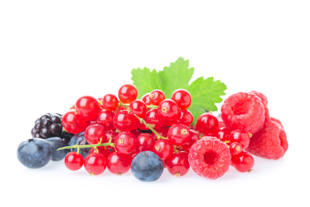 healthy fresh food berries group. macro shot of fresh raspberries, blueberries, blackberries, red currant and blackberry with leaves isolated on white background. - blackberry currant strawberry antioxidant imagens e fotografias de stock