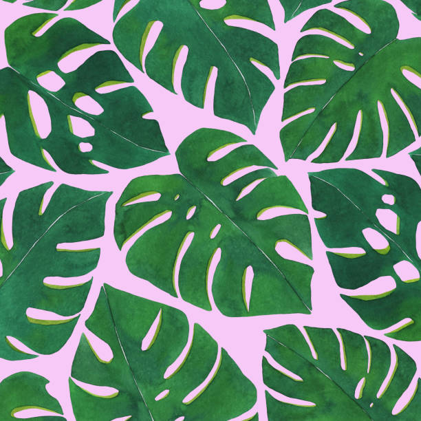 istock Background with monstera leaves. Tropical leaves. Watercolor hand painted illustration tropical leaf 985546432