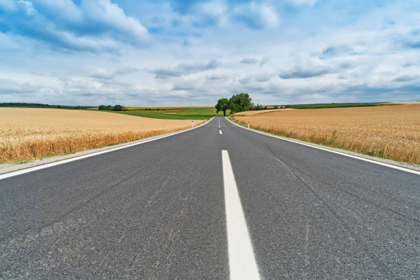 istock Landscape With Country Road 985546628