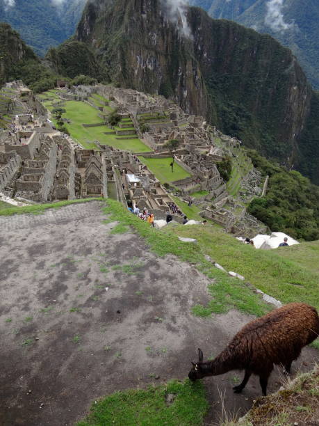 istock Machu Picchu Pichu 985569176