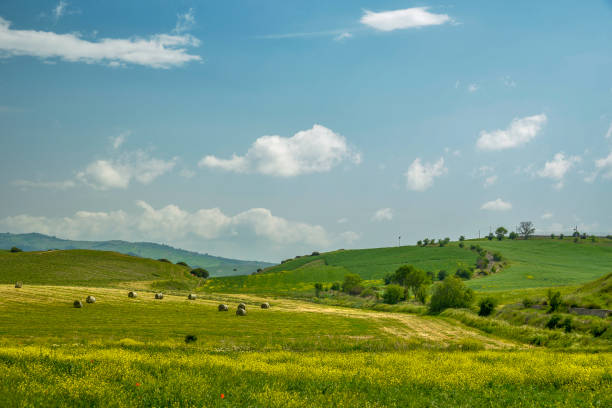 istock countryside landscape in Val D'Agri, Basilicata 985570756