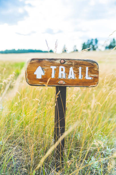 istock trail sign on the grass field. 985581530