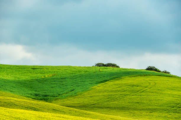 istock countryside landscape in Val D'Agri, Basilicata 985581550