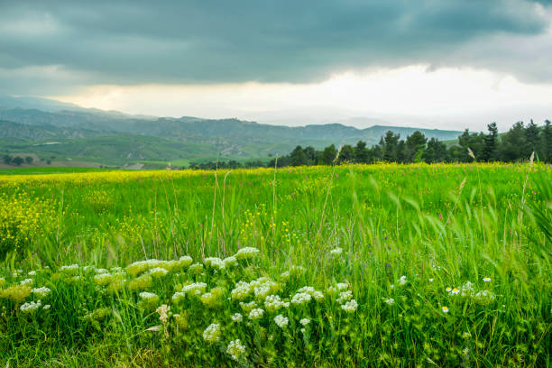istock countryside landscape in Val D'Agri, Basilicata 985586188