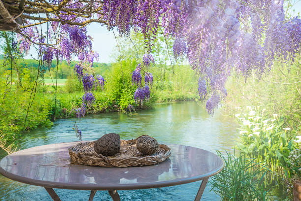 Round table near the river in greenery and purple blooming wisteria with sunlight