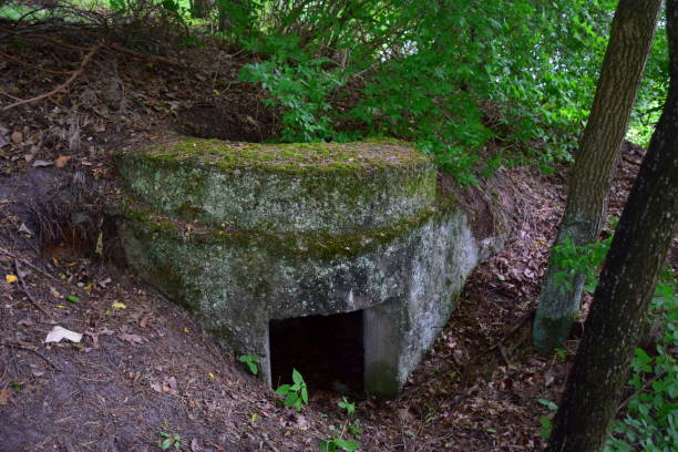 istock Old concrete bomb shelter in the forest 985601672