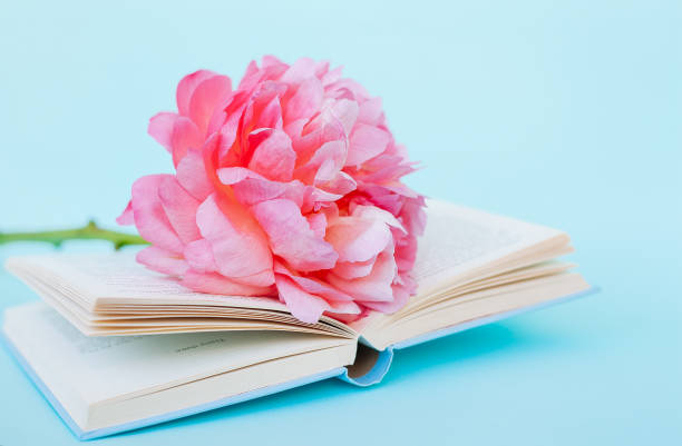 istock Peony flower and book on blue background 985612464