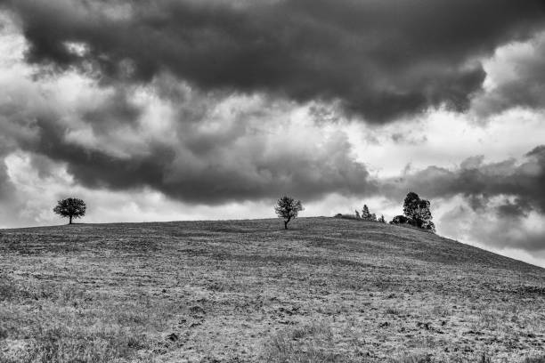 istock countryside landscape in Val D'Agri, Basilicata 985627776