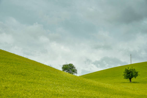 istock countryside landscape in Val D'Agri, Basilicata 985628332