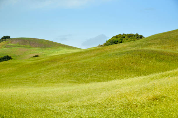 istock countryside landscape in Val D'Agri, Basilicata 985629888