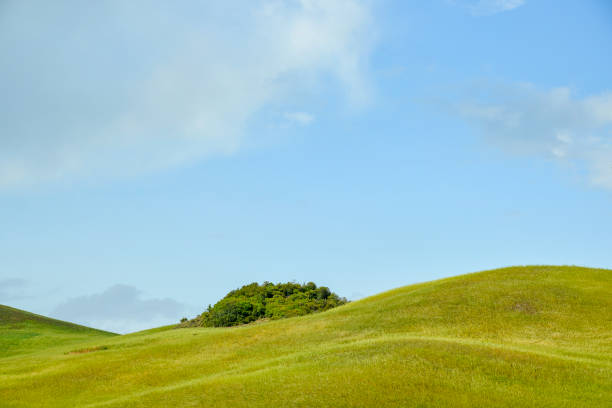 istock countryside landscape in Val D'Agri, Basilicata 985629892