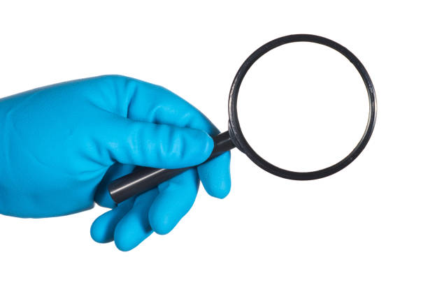 istock Cropped Hand Holding Magnifying Glass Against White Background 985638884