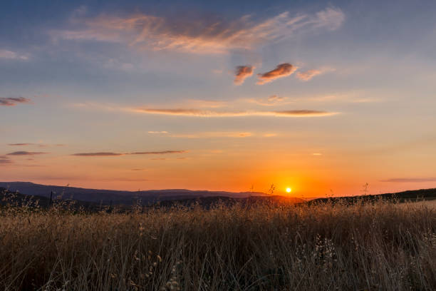 istock The golden sunrise in the fields 985662224