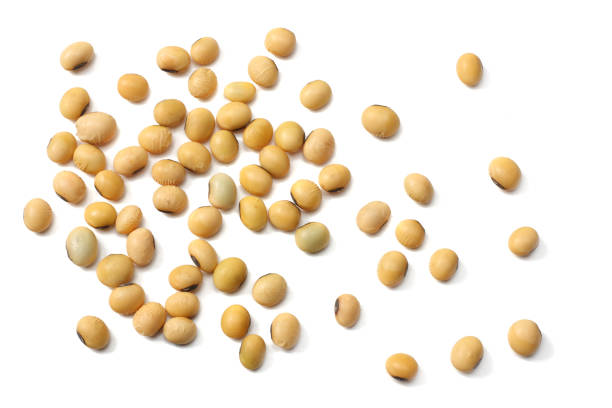 istock Soybeans isolated on white background. top view 985662626