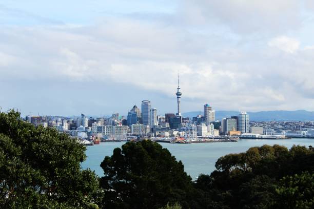 istock Discovering Auckland city 985665248