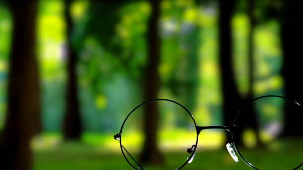 istock Tropical park through the eyeglasses 985677786