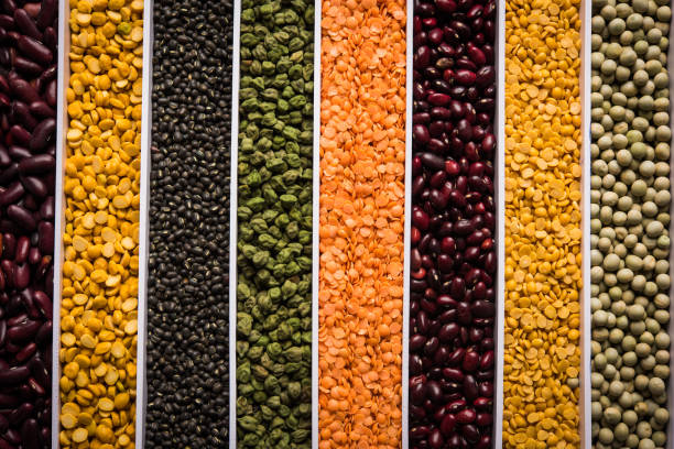 istock Indian Beans,Pulses,Lentils,Rice and Wheat grain in a white box with cells or strips, selective focus. 985678124