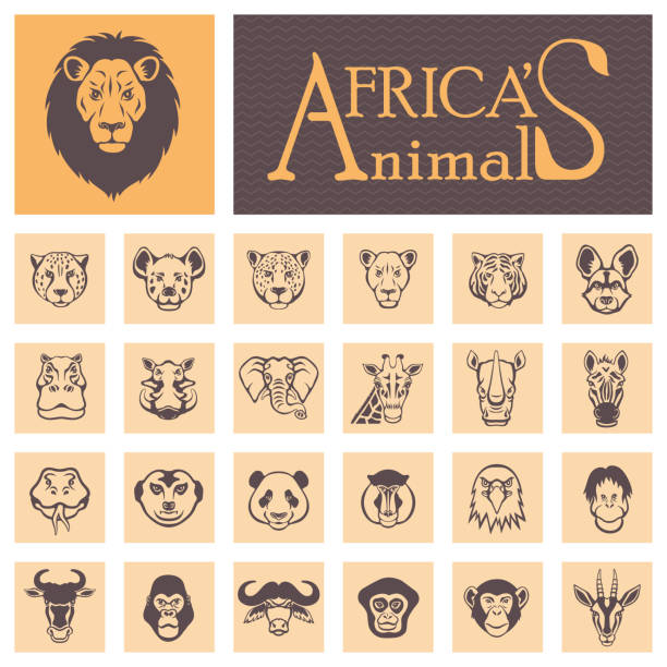 ilustraciones, imágenes clip art, dibujos animados e iconos de stock de caras de animales africanos - monkey baboon elephant ape