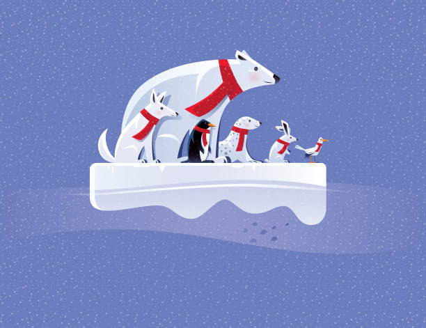 ilustrações, clipart, desenhos animados e ícones de animais do ártico, em pé no bloco de gelo - polar bear arctic animal snow