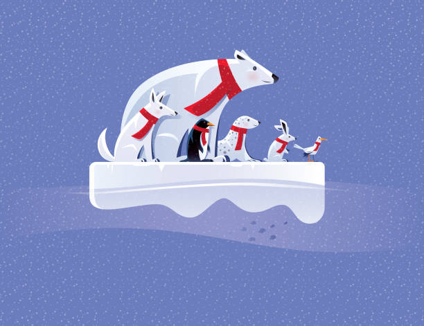 arctic animals standing on ice floe vector illustration of polar bear and friends standing on iceberg polar bear snow bear arctic stock illustrations