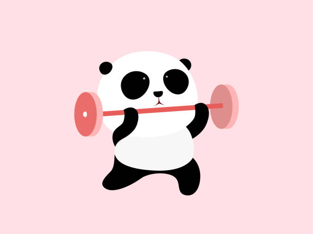 ilustrações, clipart, desenhos animados e ícones de ilustração em vetor: um panda gigante de bonito dos desenhos animados está fazendo levantamento de peso - animal fat
