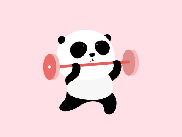 Vector Illustration A Cute Cartoon Giant Panda Is Doing Weight Lifting Stock Illustration - Download Image Now - iStock Vector Illustration A Cute Cartoon Giant Panda Is Doing Weight Lifting Stock Illustration - Download Image Now - iStock