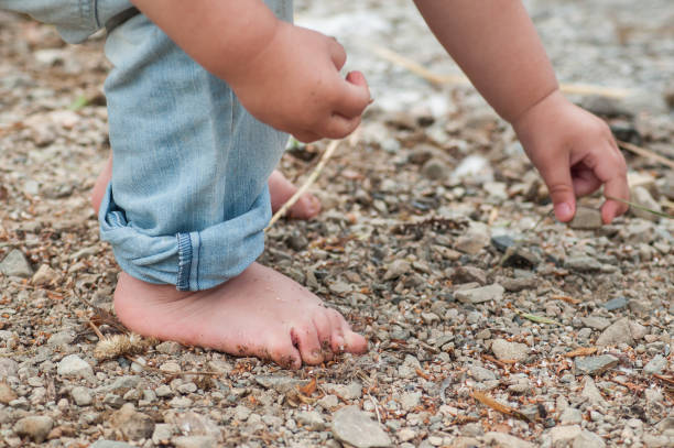 pies de niño jugando en la playa con piedra - child human foot barefoot jeans fotografías e imágenes de stock