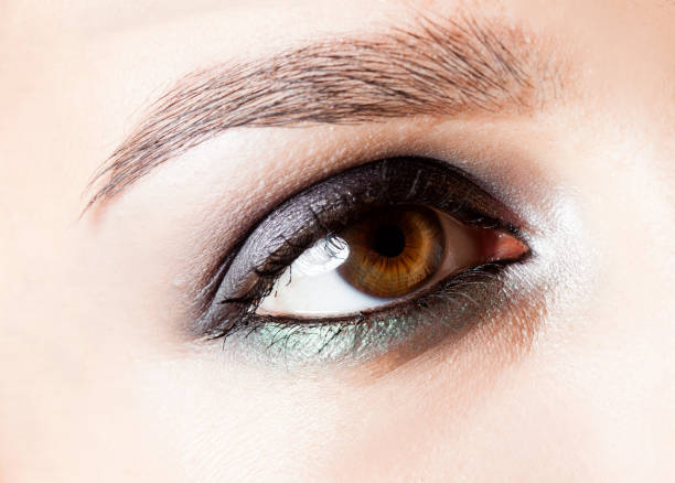 istock brown eye fashion make-up 985785702