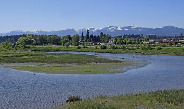 istock Courtenay Air Park, scenics 985786926