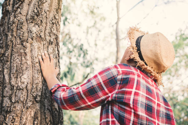 istock Rear View Of Boy Standing By Tree At Forest 985795806