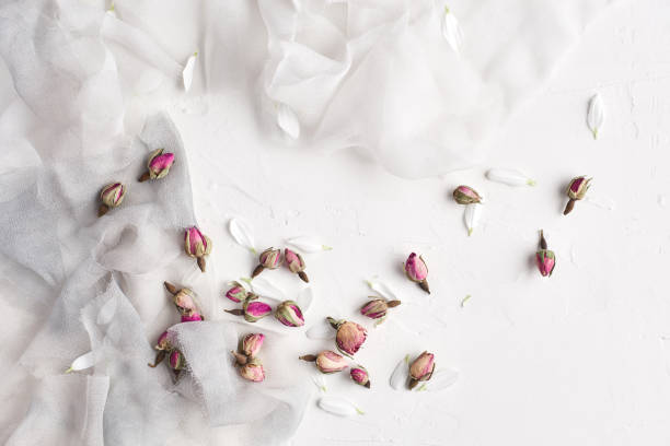 istock White feminine background with silk, white petals and dried roses. 985800668