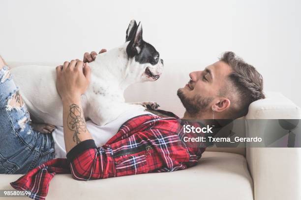 Foto de Cachorro De Buldogue Francês Com Atitude Afetuoso Com Seu Dono e mais fotos de stock de Cão