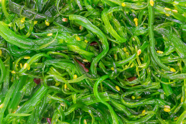 istock close-up of seaweed salad 985802882