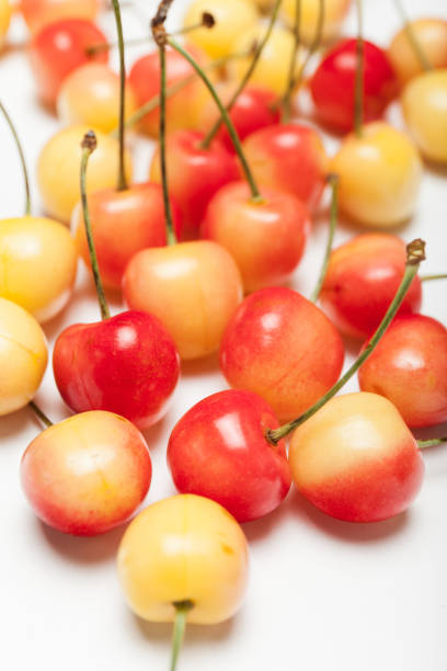 istock Rainier yellow cherry dessert, delicious bowl with berry 985806972