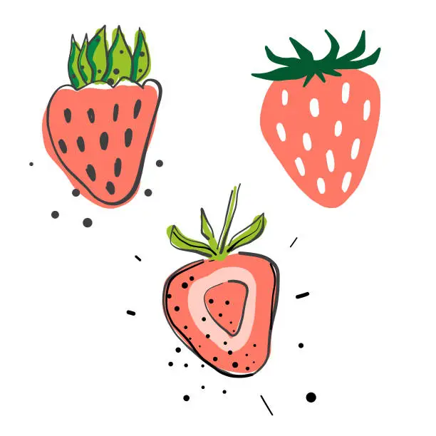 Vector illustration of Strawberries pencil drawings