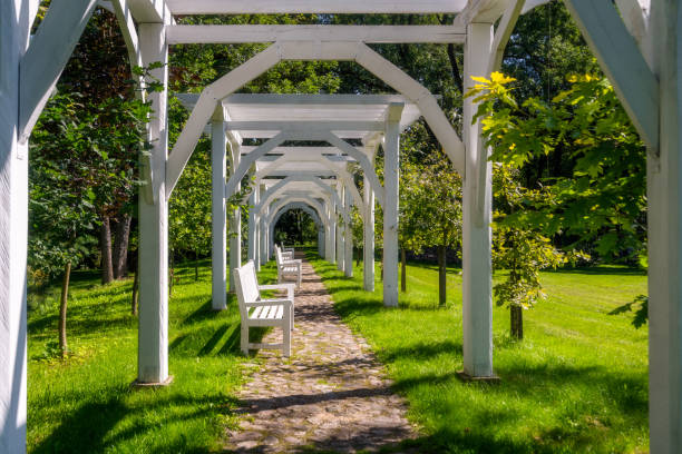 istock White benches in the park under trees 985811014