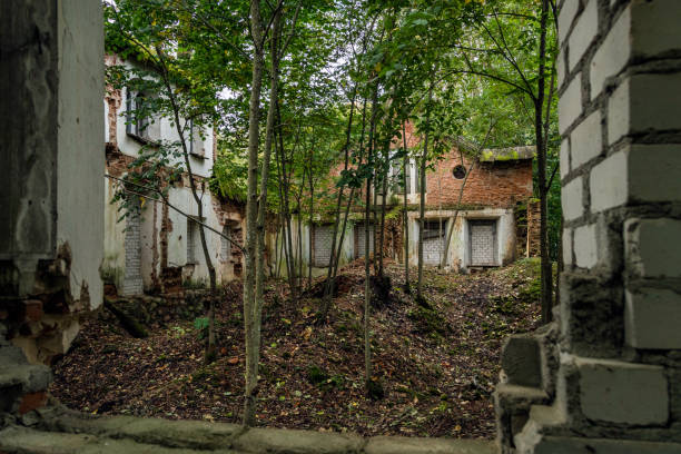 istock interior of an abandoned house 985811264