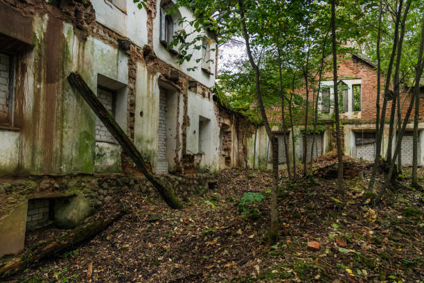 istock interior of an abandoned house 985811292