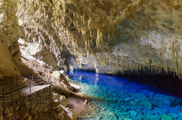 belle grotte de la ville de bonito dans matogrosso do sul, brésil. - translucid photos et images de collection