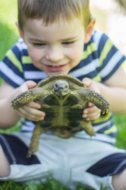 istock My New, Shelled Pet 985816476