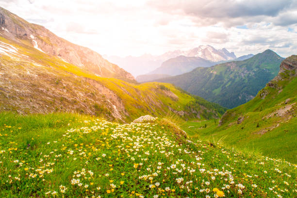istock Landscape of Dolomites 985820812
