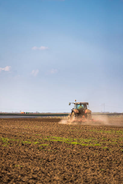 istock Farmer in tractor preparing land with seedbed cultivator 985824448