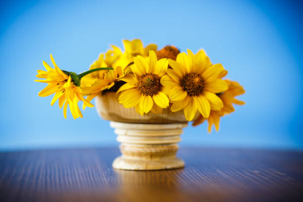 bouquet of yellow big daisies on blue background