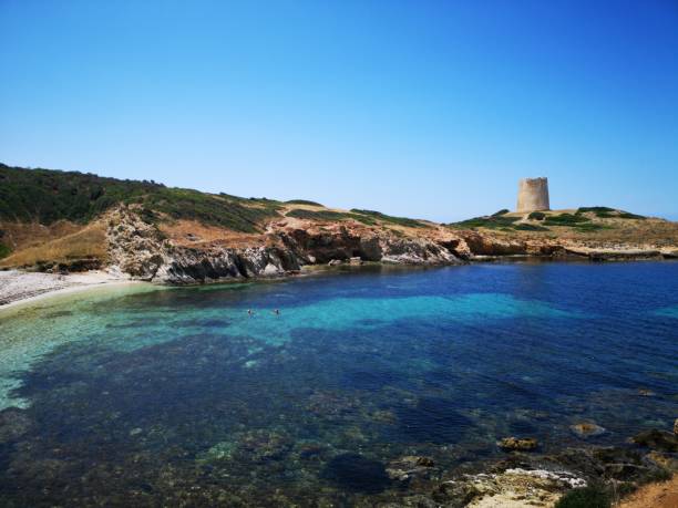 istock Sardinia empty beach in the summer with turquoise sea 985830240