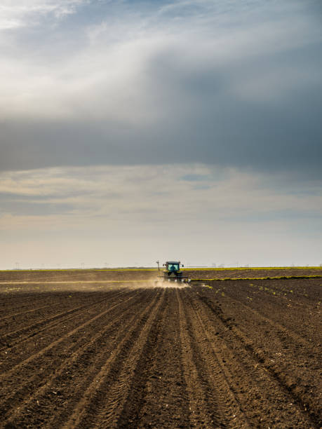 istock Farmer seeding, sowing crops at field. 985831446